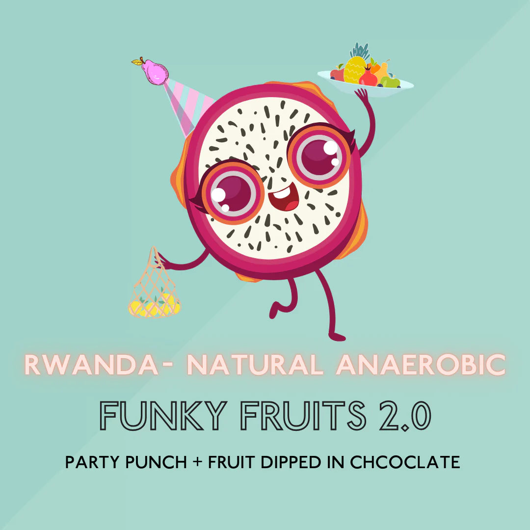 The Artery Coffee: Funky Fruits 2.0 (227g)